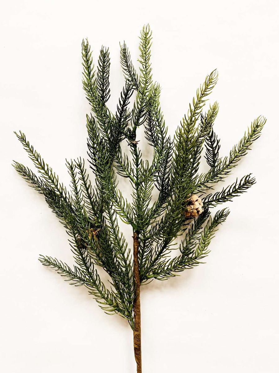 Gren barnål/kongler 55 cm